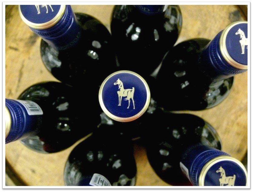 Making wine and breeding racehorses – Sponsored